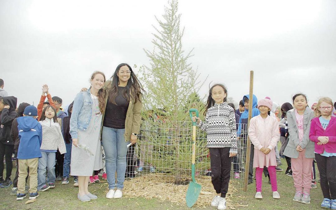 École James Nisbet gets a little greener