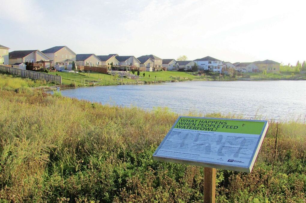 Keeping wildlife safe around retention ponds