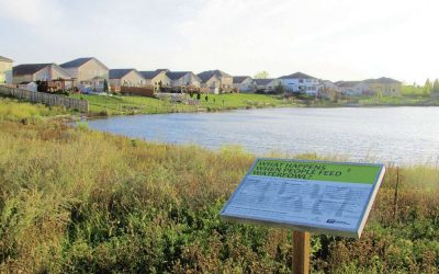 Keeping wildlife safe around retention ponds