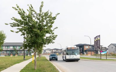 Get ready to board the Primary Transit Network